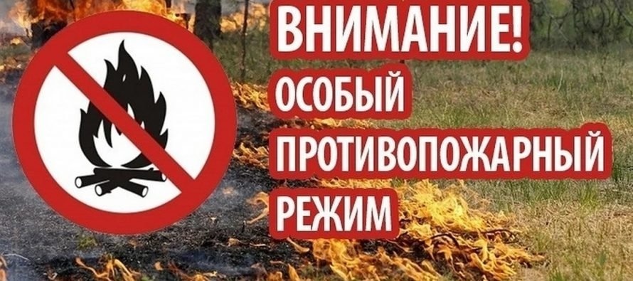 На территории действует особый противопожарный режим.
