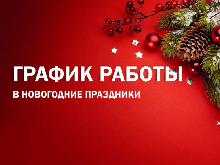Как работают бюджетные учреждения на новогодние праздники. Как работают бюджетные учреждения на новогодние праздники.